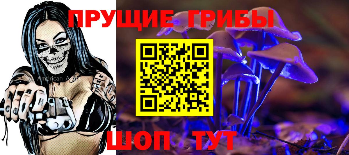 Псилоцибиновые грибы Psilocybine cubensis Воронеж